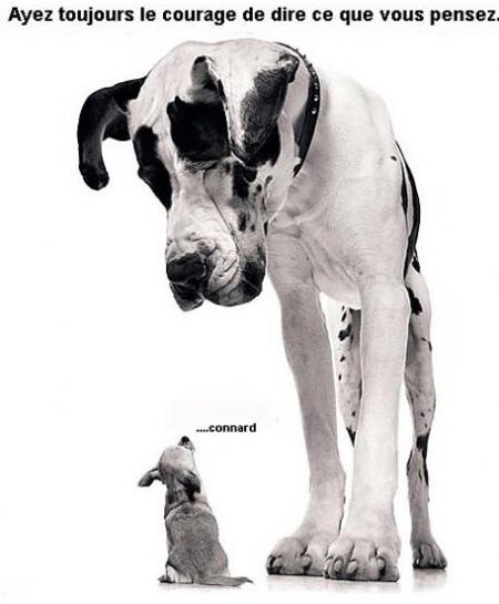 mdrrrrrrrrrrrrr  !!!